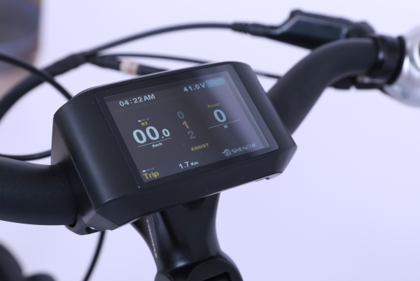 1200,00 € Herren E-Bike WEE-Carnelian 2 , 28 Zoll, 7 Gang, 90 NM, 630 WH-Samsung + Gratis E-Laufband